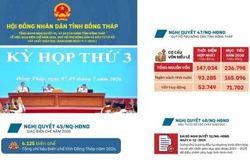 Nghị quyết 45, 47, 48 ngày 9-7-2026 của HĐND tỉnh Đồng Tháp