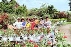 Du lịch Đồng Tháp nhộn nhịp dịp Lễ 2-9