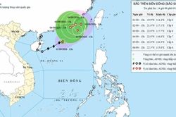 Bão số 5 di chuyển hướng tây và suy yếu thành áp thấp nhiệt đới