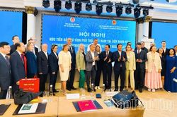 Tỉnh Phú Thọ xúc tiến đầu tư tại Liên bang Nga: Cam kết môi trường đầu tư minh bạch, đồng hành cùng doanh nghiệp