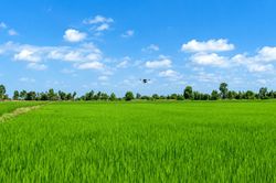 Xã Vĩnh Thuận (An Giang): Phát huy lợi thế, tạo đà về đích nông thôn mới
