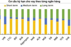 Tín dụng trung và dài hạn tăng tốc, NIM thêm lực đỡ nhưng đi kèm áp lực phía sau