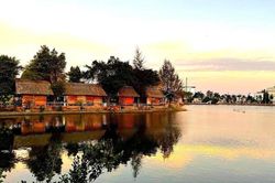 Cà Mau: Khu du lịch sinh thái Hồ Nam - Không gian xanh giữa lòng Bạc Liêu
