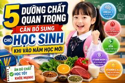 5 dưỡng chất học sinh cần chú ý khi bước vào năm học mới