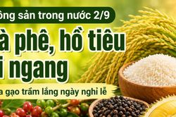 Nông sản trong nước 2/9: Cà phê, hồ tiêu đi ngang; lúa gạo trầm lắng ngày nghỉ lễ