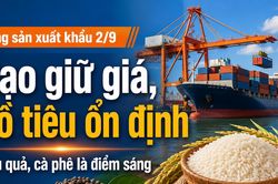 Nông sản xuất khẩu 2/9: Gạo thơm giữ giá, tiêu đen Việt Nam quanh 6.000 USD/tấn