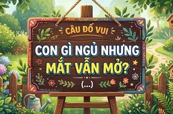 Câu đố hack não: Con gì ngủ nhưng mắt vẫn mở?