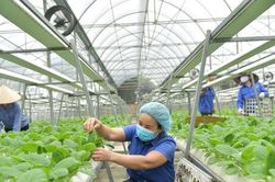 Xanh hóa nền kinh tế, mở dư địa tăng trưởng