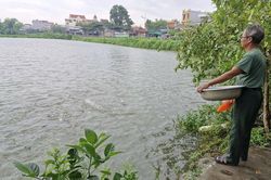 Chủ động giữ an toàn vùng nuôi thủy sản mùa mưa bão