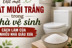 Đặt bát muối trắng trong nhà vệ sinh, cách làm của nhiều nhà giàu xưa để thu hút tài lộc