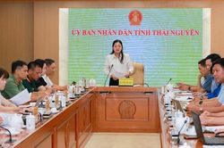 Festival Trà Quốc tế Thái Nguyên 2026 vào chặng nước rút