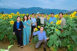 Hiệu quả mô hình trồng hoa hướng dương và hành tím