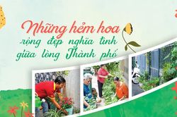 Những hẻm hoa rộng đẹp nghĩa tình giữa lòng Thành phố