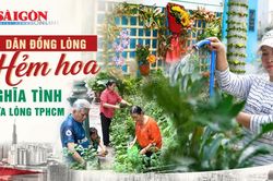 TPHCM: Nhiều hẻm hoa xanh mát nhờ người dân đồng lòng