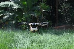Nông trại Trung Quốc gần như không cần người nhờ AI và drone