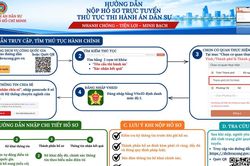 Thi hành án dân sự TP. Hồ Chí Minh đẩy mạnh tiếp nhận hồ sơ trực tuyến, tạo thuận lợi cho người dân