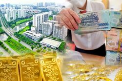 Có tiền nhàn rỗi nên đầu tư gì lúc này?