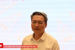 V&igrave; sao Huấn Hoa Hồng bị khởi tố tội danh lừa đảo?