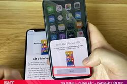 Các bước chuyển toàn bộ dữ liệu từ iPhone sang iPhone đơn giản