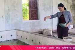 Nuôi ếch trong bể, nhiều hộ dân thu hàng chục triệu đồng mỗi lứa