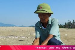 S&oacute;ng lớn cuốn h&agrave;ng tấn vỏ ngao t&iacute;m dạt v&agrave;o bờ biển H&agrave; Tĩnh