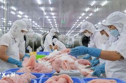 Việt Nam giữ vị trí quan trọng trong các chuỗi sản xuất và cung ứng tại châu Á
