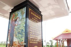 Bia kỷ niệm Bác Hồ với cây vú sữa miền Nam bên dòng kênh Chắc Răng ở Cà Mau