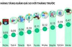 Chỉ số gi&aacute; ti&ecirc;u d&ugrave;ng th&aacute;ng 8 năm 2026 tăng 0,47%
