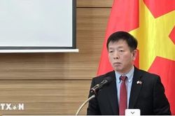 Hợp t&aacute;c nghị viện Việt-H&agrave;n tạo th&ecirc;m khu&ocirc;n khổ v&agrave; động lực th&uacute;c đẩy hợp t&aacute;c