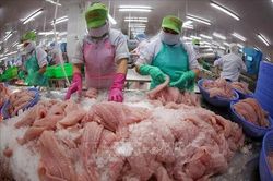 Xuất khẩu nông, lâm, thủy sản tăng 7%