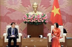 Thúc đẩy hợp tác Việt Nam - Nhật Bản trong khoa học, công nghệ và đào tạo nhân lực