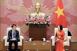 Th&uacute;c đẩy hợp t&aacute;c Việt Nam - Nhật Bản trong khoa học, c&ocirc;ng nghệ v&agrave; đ&agrave;o tạo nh&acirc;n lực