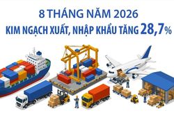 8 th&aacute;ng năm 2026: Kim ngạch xuất, nhập khẩu tăng 28,7%