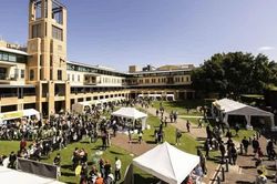 Australia hủy 1 chương trình văn bằng sau đại học dành cho du học sinh