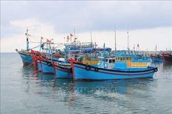 T&acirc;y Ninh siết quản l&yacute; đội t&agrave;u, bịt 'khoảng trống' chống khai th&aacute;c IUU