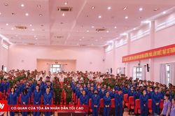 Chi tiết mức án của 227 bị cáo trong chuyên án VN10