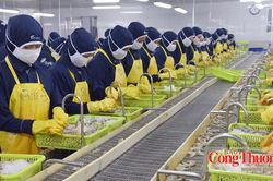 Xuất khẩu sang EU: Bao bì trở thành bài toán mới