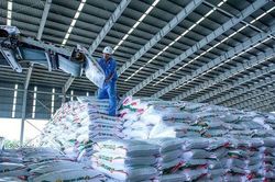 Cổ phiếu ngành phân bón: DCM và DPM được kỳ vọng tăng trưởng lợi nhuận, P/E đang thấp hơn trung bình 5 năm