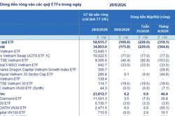 ETF ngoại đảo chiều r&uacute;t r&ograve;ng mạnh