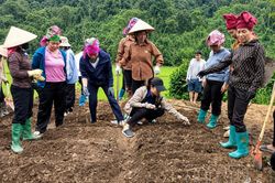Phấn đấu năm 2030 không còn thôn, bản đặc biệt khó khăn
