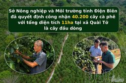 Bài 4: Khát vọng 'trái ngọt' vươn xa