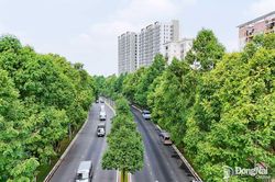 Phát triển đô thị gắn với nâng cao chất lượng cuộc sống