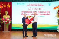 &Ocirc;ng Trần Thắng giữ chức Tổng Gi&aacute;m đốc C&ocirc;ng ty cổ phần Ph&acirc;n l&acirc;n Ninh B&igrave;nh