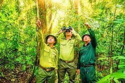 Bước chân lặng lẽ giữ rừng