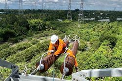 Truyền tải điện Cần Thơ chủ động thực hiện các giải pháp phòng ngừa, giảm sự cố do sét