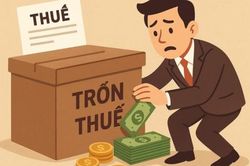 Trốn thuế có thể bị phạt tới 3 lần số tiền thuế trốn