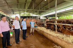 L&acirc;m Đồng: Bổ sung nguồn lực, th&ecirc;m cơ hội từ t&iacute;n dụng ch&iacute;nh s&aacute;ch