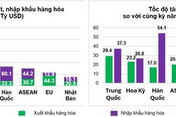 Xuất nhập khẩu lập kỷ lục, cán cân thương mại nhập siêu hơn 20 tỷ USD