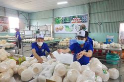 Xuất khẩu n&ocirc;ng l&acirc;m thủy sản 8 th&aacute;ng đạt gần 49,31 tỷ USD, tăng 7% so với c&ugrave;ng kỳ