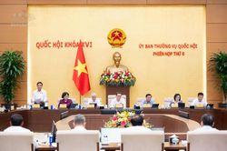 Ủy ban Thường vụ Quốc hội cho &yacute; kiến về Dự &aacute;n Luật sửa đổi, bổ sung một số điều của Luật Kế to&aacute;n, Kiểm to&aacute;n độc lập
